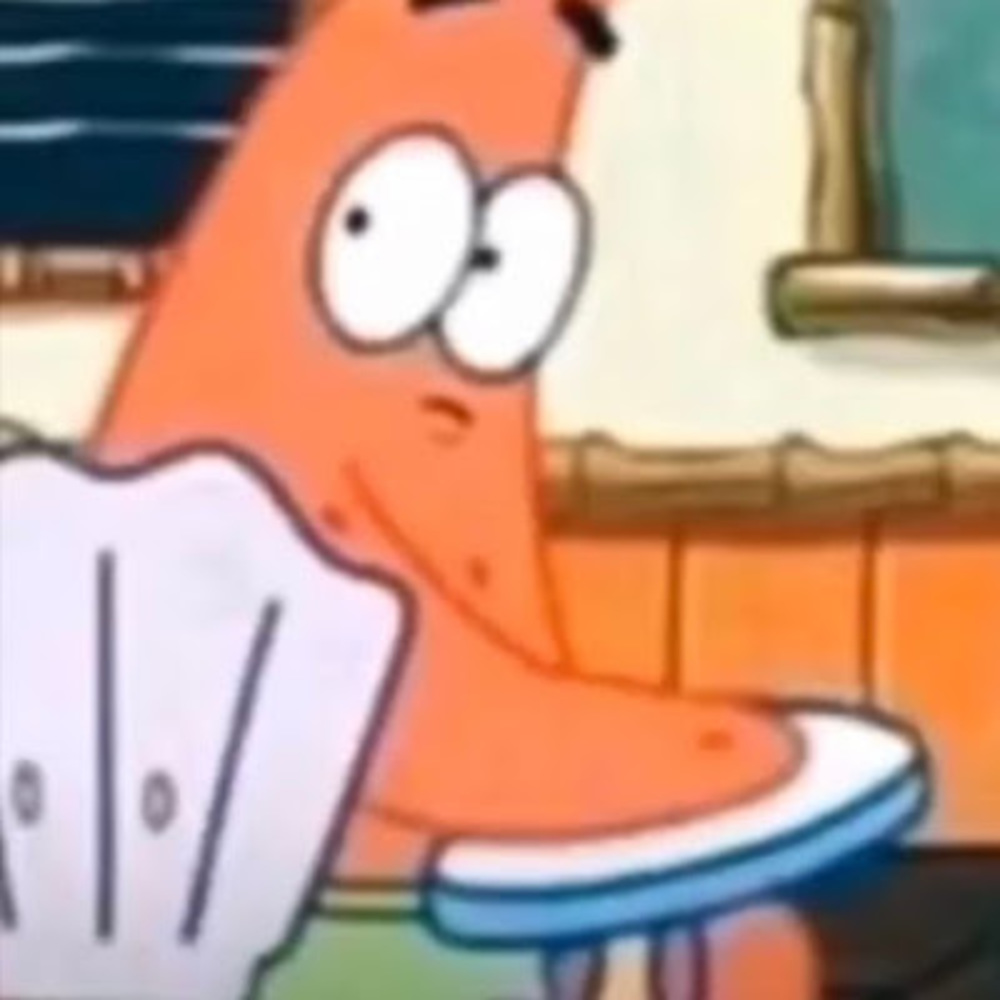 Meet your Posher, Bella